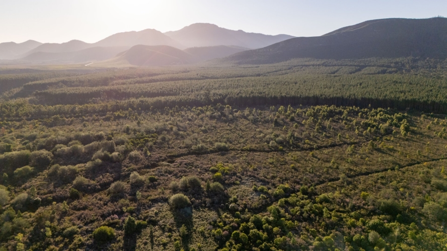  Bedroom Property for Sale in Natures Valley Western Cape